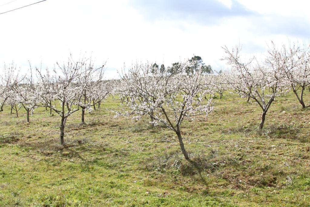 Alojamento Rural De Vales Vales  외부 사진